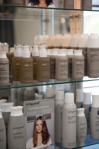 professional salon hair products